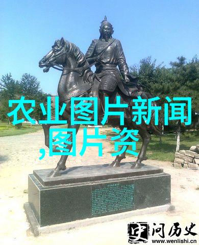 农业科技-精准种植绿色致富三农领域的新时代视频教程