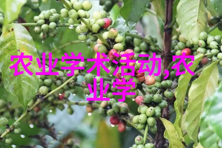 养羊国家有补贴吗要养多少只-牧场梦想揭秘国家羊业补贴政策与经济效益