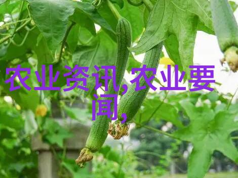 古代农业之谜耕耘与收获的智慧篇
