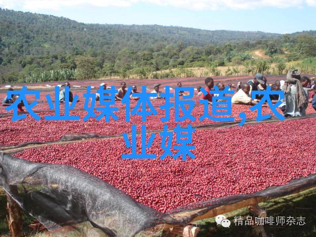 三菱药材种植技术开辟新篇章市场前景广阔