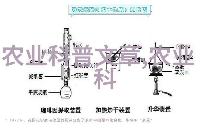 花开富贵种下梦想播撒希望