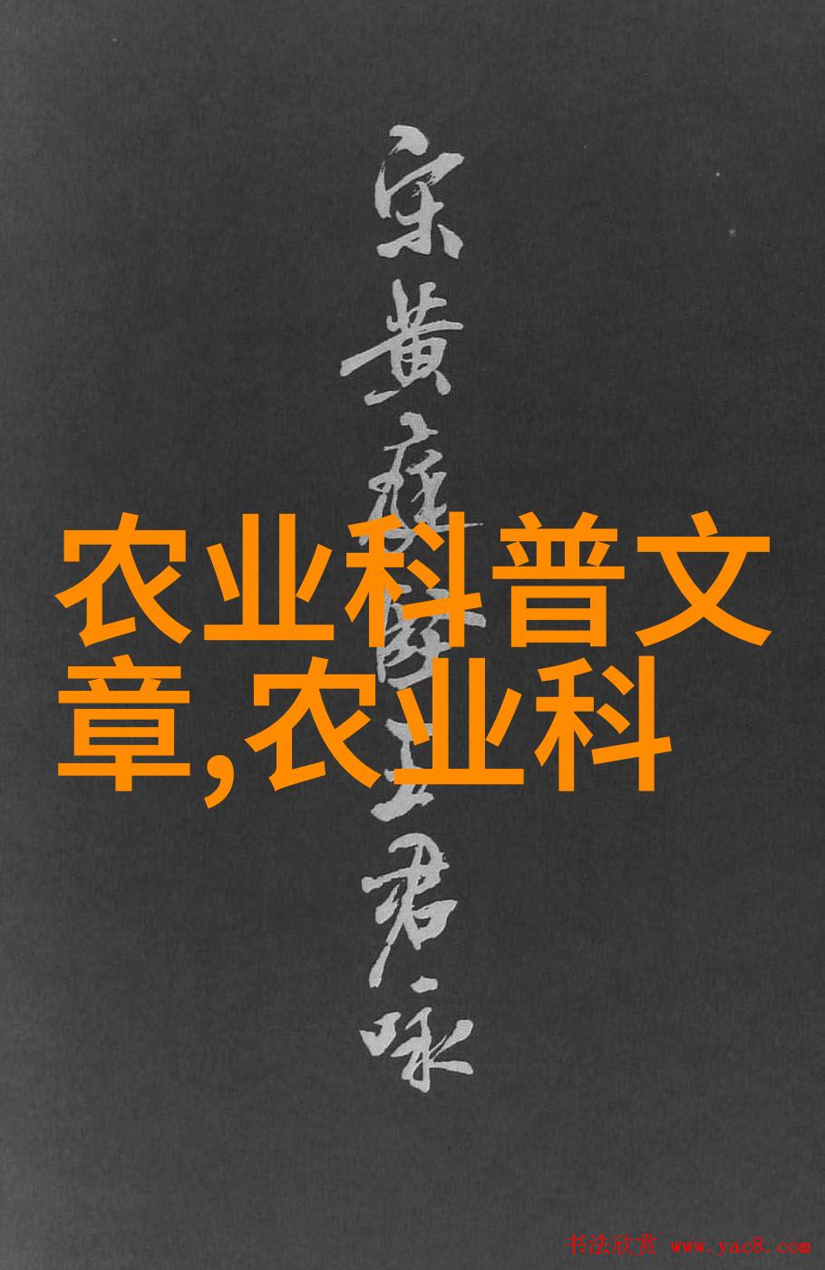 木瓜秘密妈妈的朋友1-5视频全集
