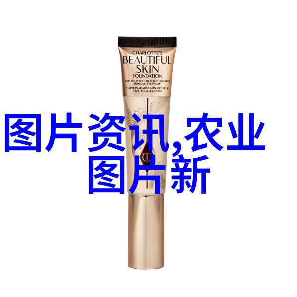 盆景艺术探索50种精致的室内植物