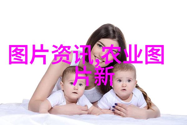 建个花卉大棚挣钱吗我来告诉你一个好主意在家种花大丰收如何轻松赚钱的秘诀