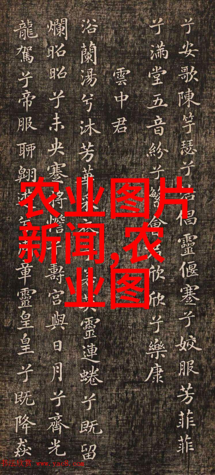 青青花木传统艺术的静谧之美