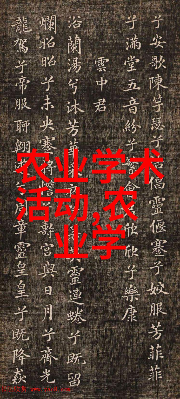 C1驾驶员日薪300元的招聘浪潮对行业发展意味着什么