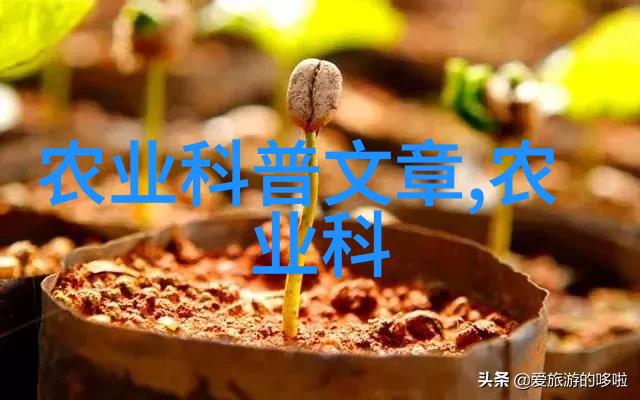 茶文化ppt课件我与茶的故事一场文明的交响