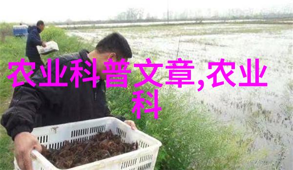 品味云端茶叶的艺术与魅力