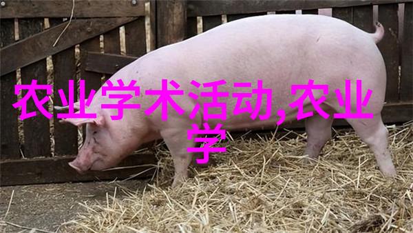 银河帝国之刃-星际割裂银河帝国之刃的诞生与背后的权力斗争