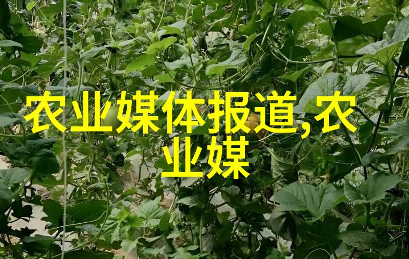 山羊养殖技术视频提高收益的秘诀