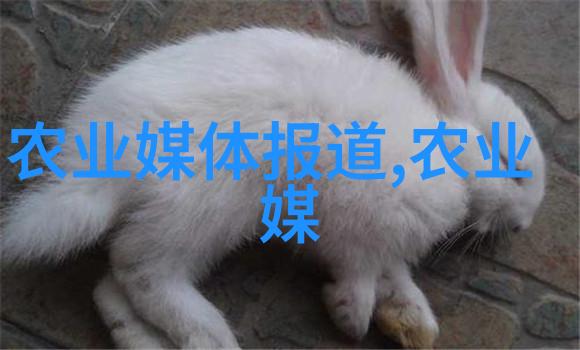关于茶的基本知识亲爱的小伙伴们这里我们就来聊聊你可能不知道的那些有趣的事实吧