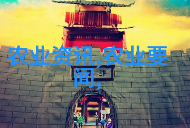 农村药材探秘野生草本的自然疗方