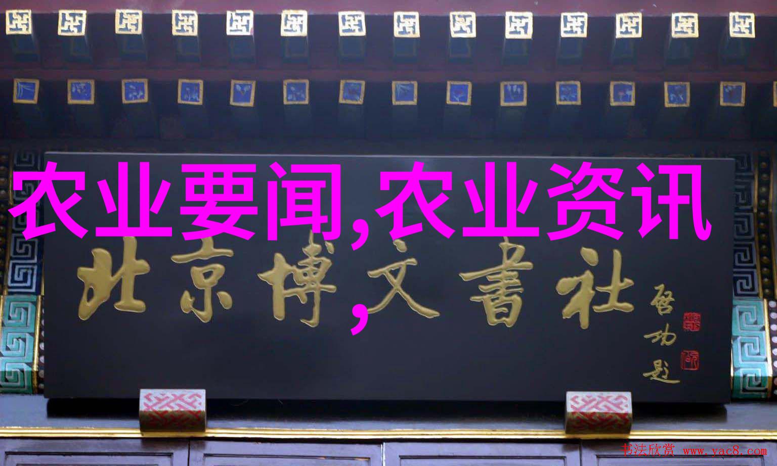 物流管理的未来智能化与可持续发展的双重挑战