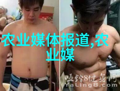 实践案例研究成功应用的二氧化氯发生器处理项目介绍