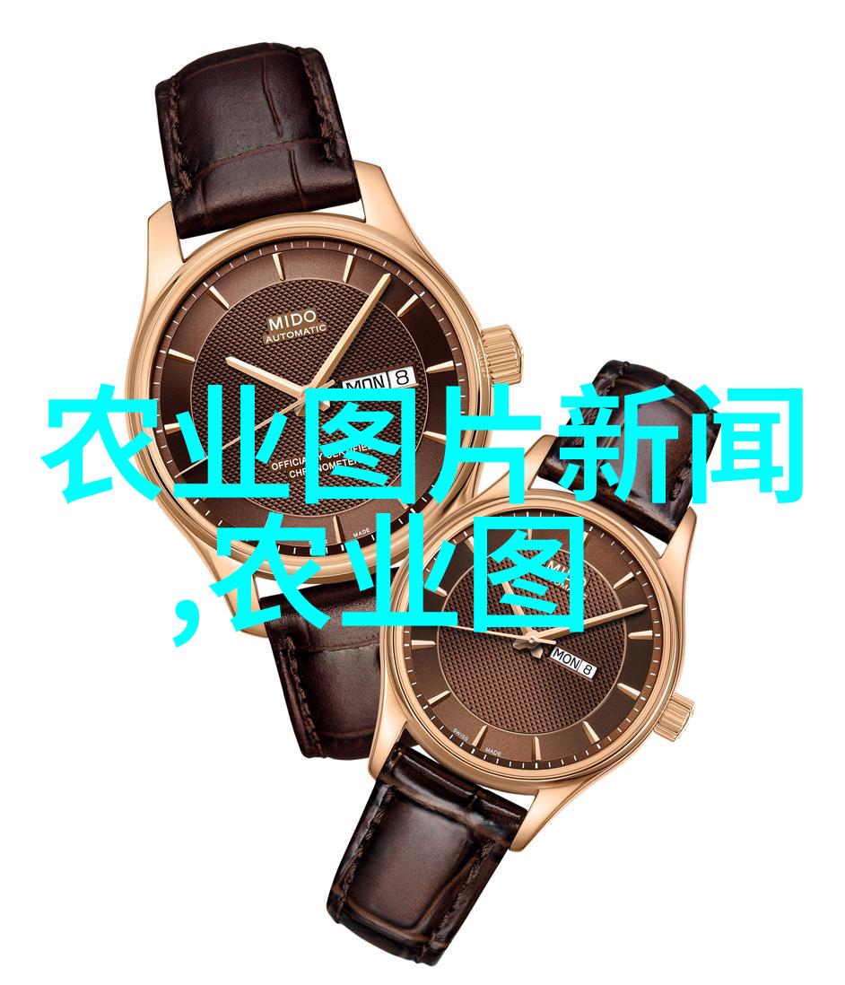 金叶复叶槭价格表2021树木市场最新动态与采购指南