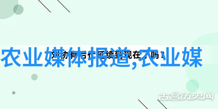 世界百科全书我是如何在图书海洋中找到灵魂伴侣的
