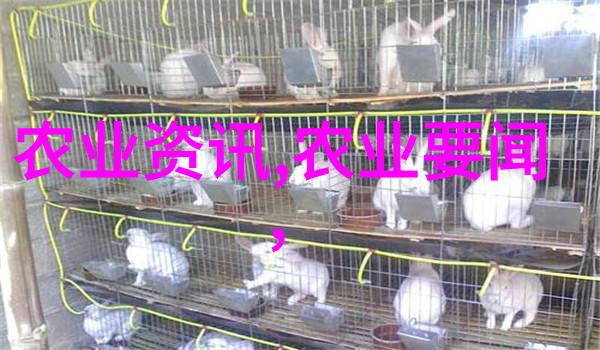 无人之地的温暖拥抱