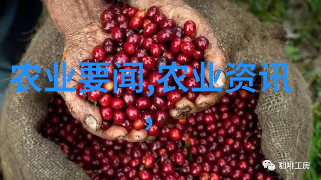 水稻种植全链条机械化 新型农机具助力光山县农业生产