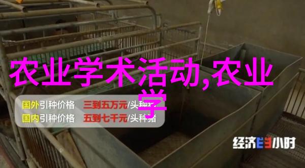 花园美化适合自家小院种植的多彩花卉