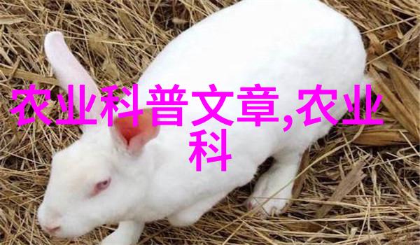 药材价格预警揭秘2022年涨价的十大草本宝石