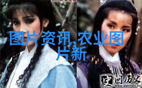 中国乡村振兴学院召开科研选题开题启动会