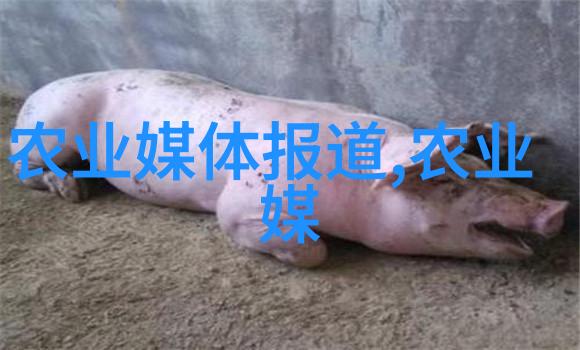 种植大师从土壤到丰收一路向前但别忘了水你也得给