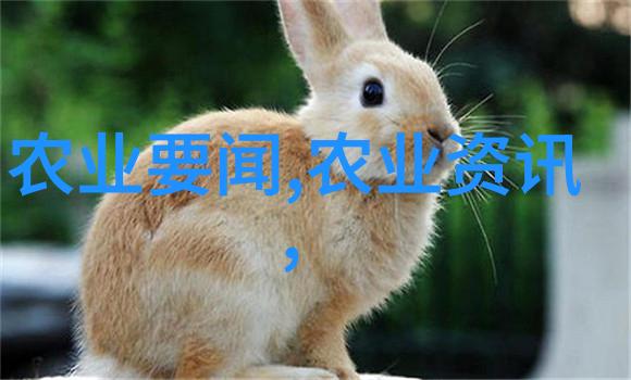 中药材种植技巧中医药的精华