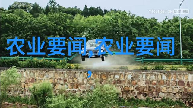 dinkum蜜蜂怎么养咱们来点实用的小技巧