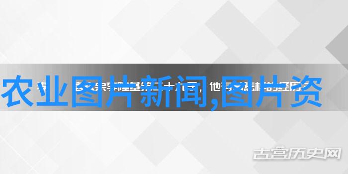 农业网种植蔬菜高效的现代农业技术与传统智慧的结合