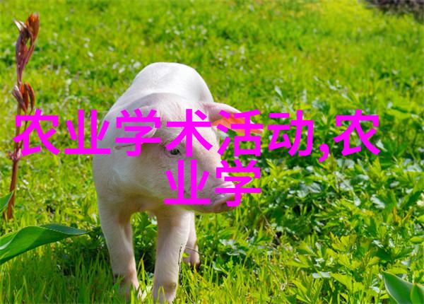 土地的承诺一亩田的谜团