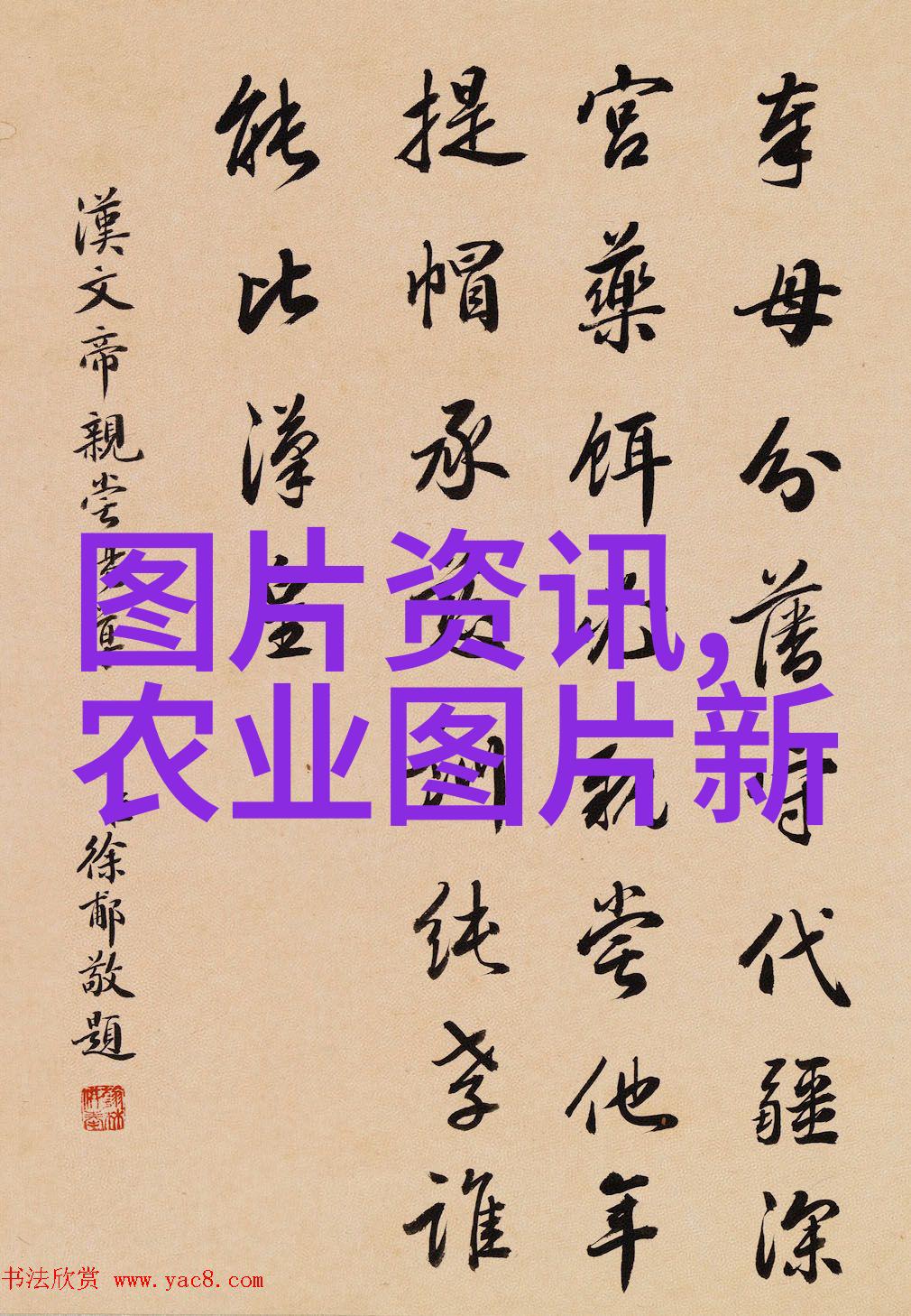 华南理工大学学报探索未来科技的火焰之光