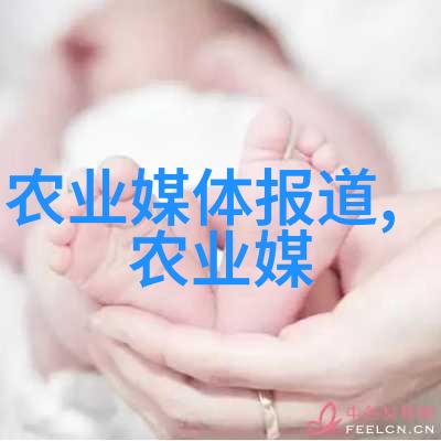 工业自动化中的关键设备皮带机的重要性与应用