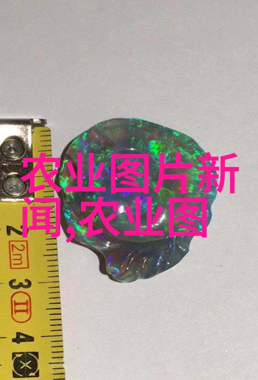 秋天收获时刻优化你的阳台作物管理技巧