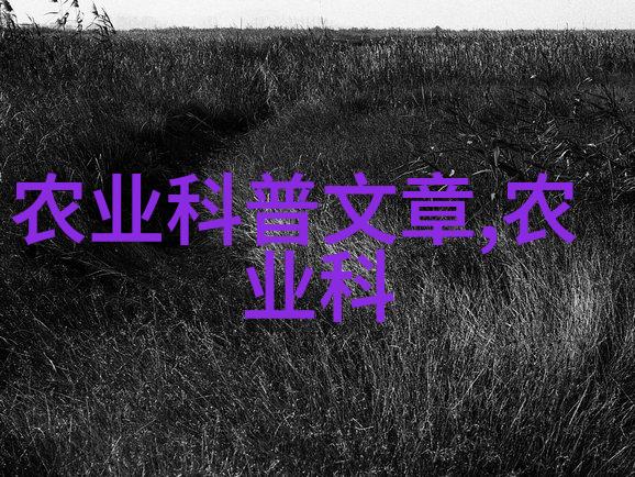 最新蔬菜种植技术亲自尝鲜的秘诀