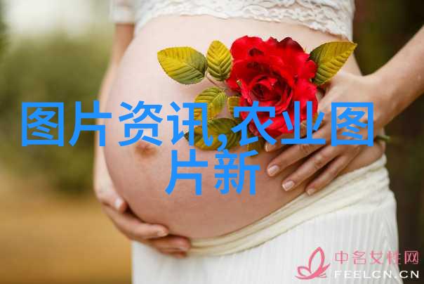 绿洲工程大棚建设成本预算与亩均价格解析