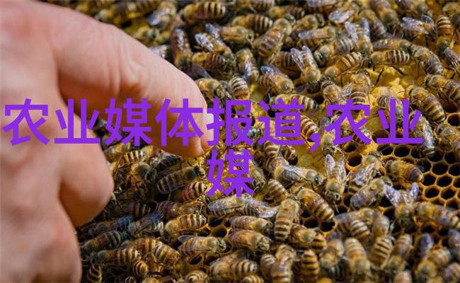苗木花卉我的园丁日记从零到英雄的种植奇迹