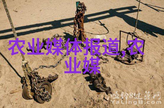 我应该使用什么软件来购买新鲜的批发蔬菜