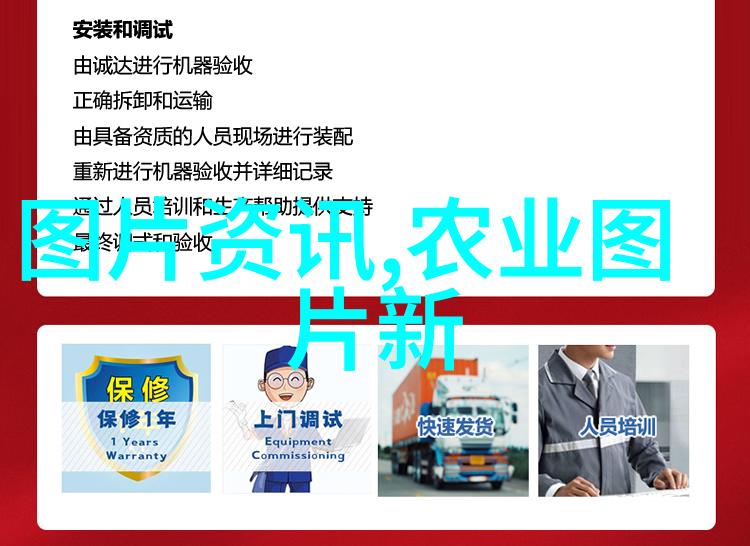 阳台上的甜蜜选择挑选美味又赏心悦目的水果树种