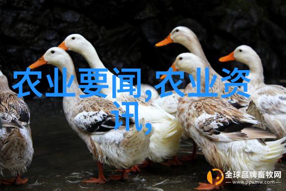 升降机系统智能化高效的室内外交通工具