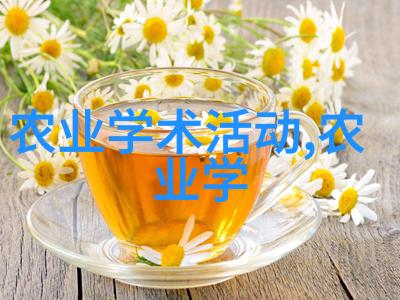 主题我是饲料机的喂食高手