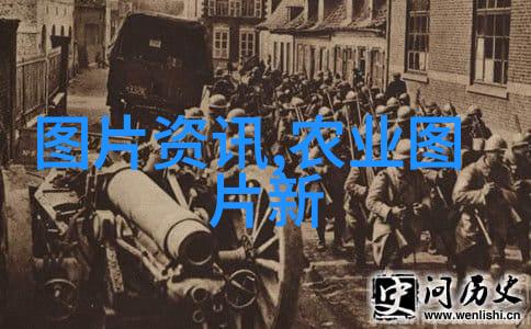 园艺资讯 - 18公分天竺桂价格最新动态如何在有限预算下打造美丽庭院
