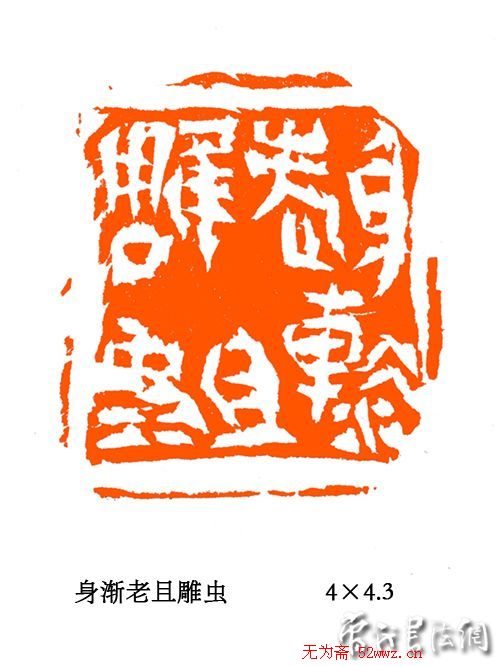 什么一亩药材一年收5万-富贵之乡揭秘高效药材种植的秘诀