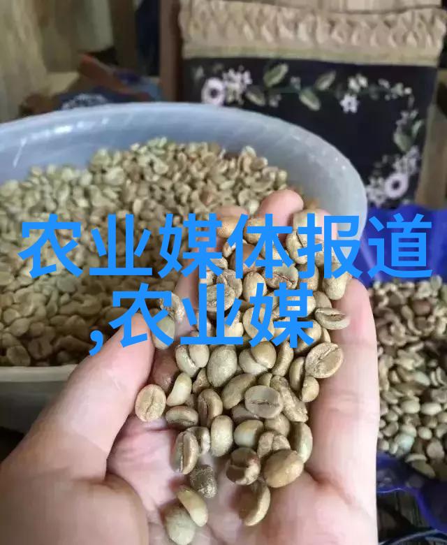 未来的财富源泉未来几年最赚钱的草本植物评估