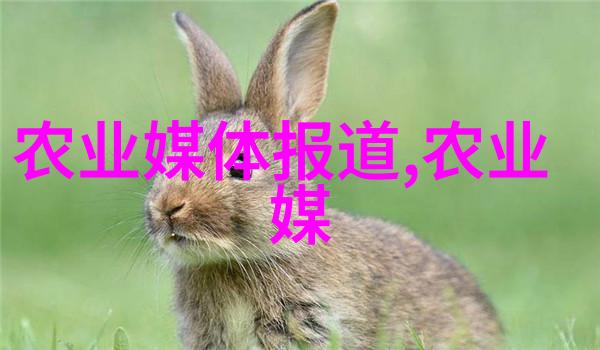 竹鼠养殖技术-精准养殖提升竹鼠产量的关键技巧
