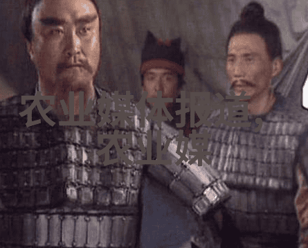 黑龙江中药材种植指南探索北方草甸的药用宝藏