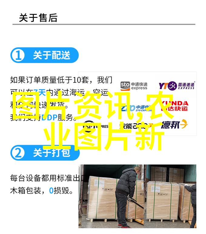 学长根茎上的作业生活创意与挑战的交织