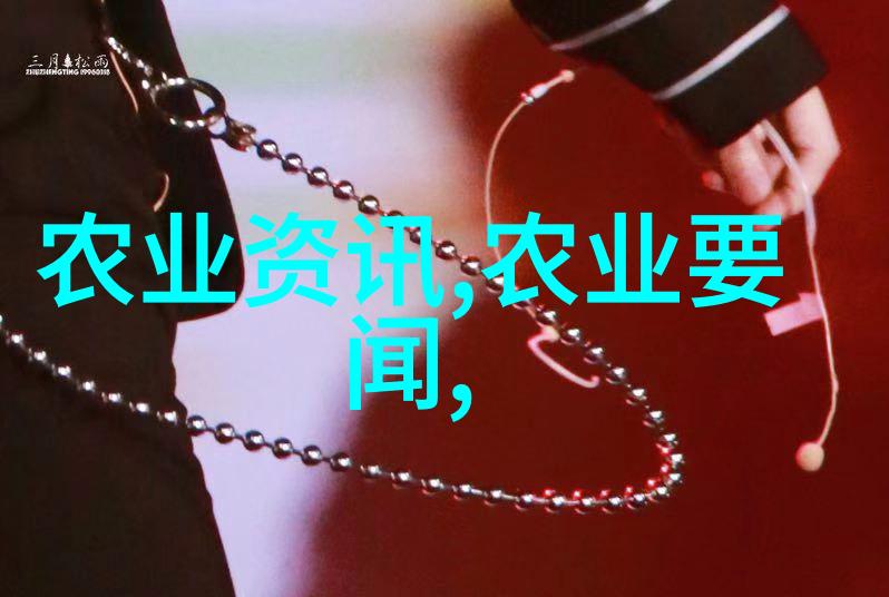 蜂蜜与梦想初次养蜂的实用指南