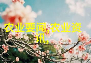 彩妆花园常见花卉种植方法大全