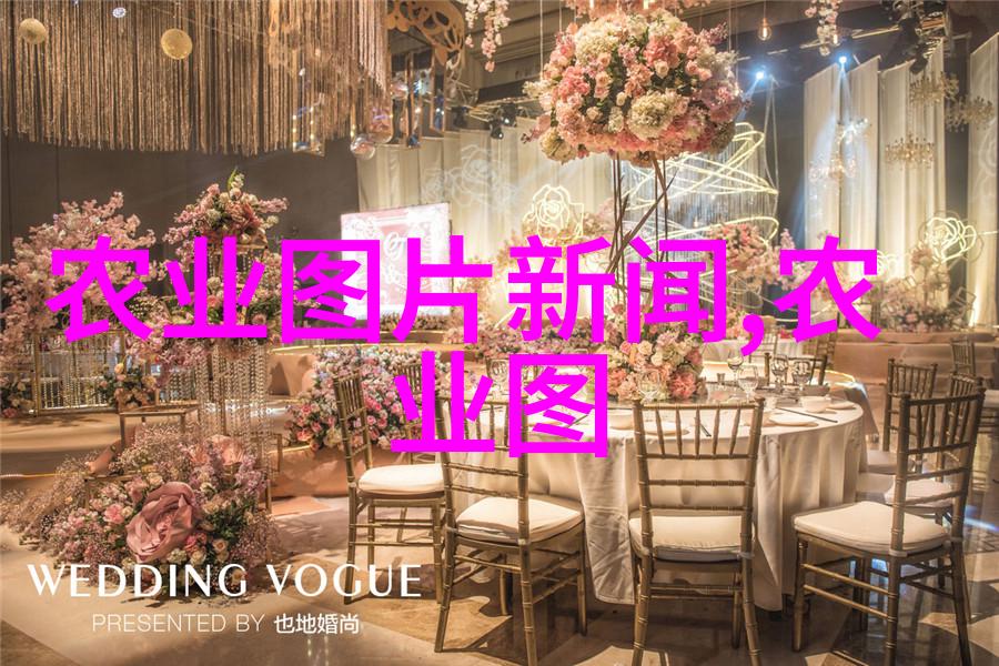中国茶文化的深度探究品味千年传承