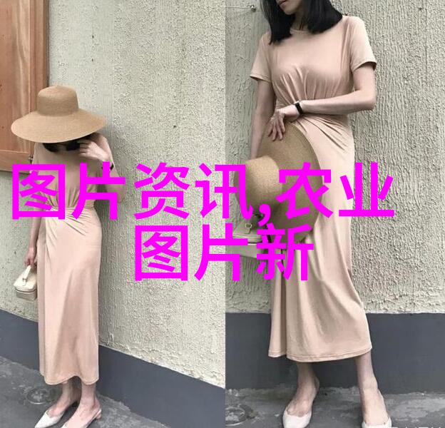 春耕忙夏收丰秋收喜冬备荒一年种菜时间表的智慧与实践